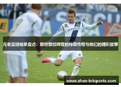 元老足球明星盘点：那些曾经辉煌的绿茵传奇与他们的精彩故事